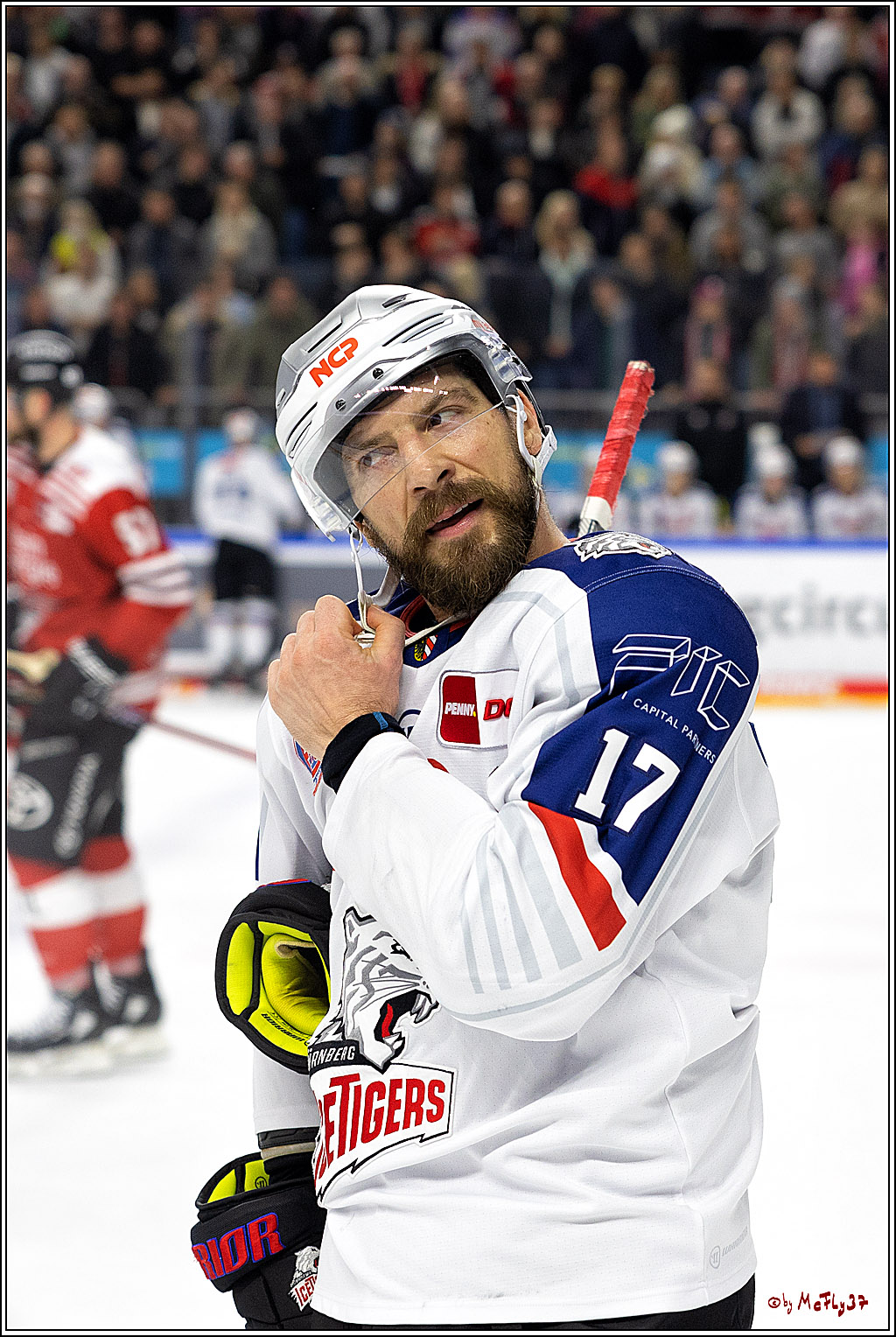 PENNY DEL;  Kölner Haie - Nuernberger Ice Tigers; Köln, 18.11.2022